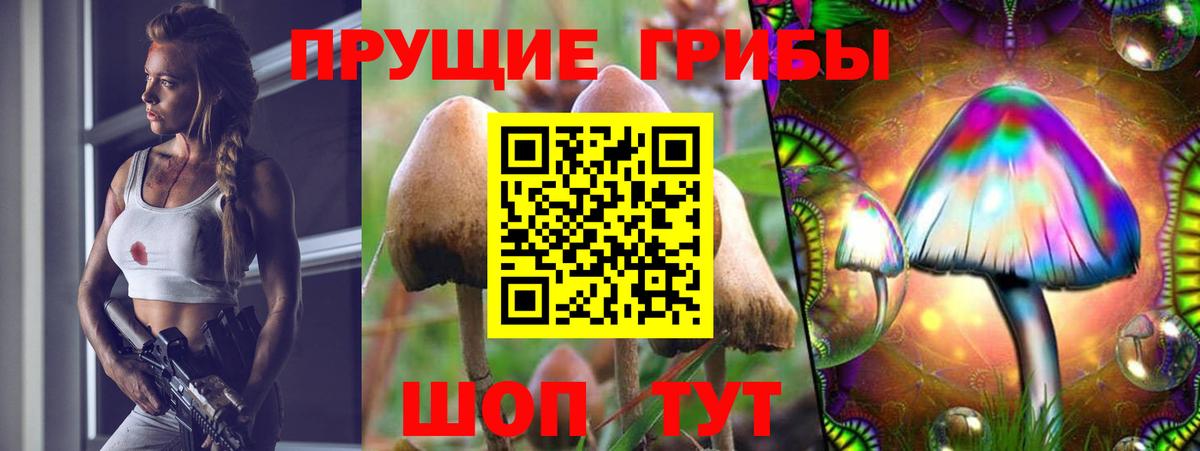 Котельники  Псилоцибиновые грибы прущие грибы  Псилоцибиновые грибы GOLDEN TEACHER  Вход с VPN 